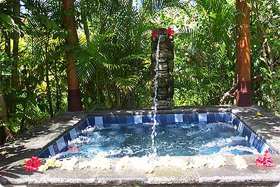 Villa Hanani Pool Bali